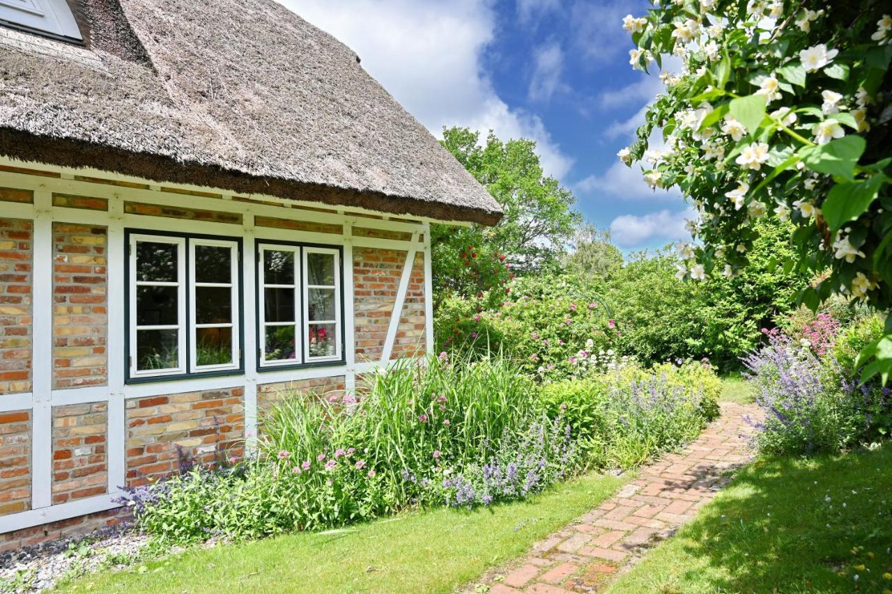 Landhaus Vilmnitz - Wohnung 10 Eksteriør bilde